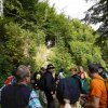09 b Schluchensteig Etappe 4 - 6